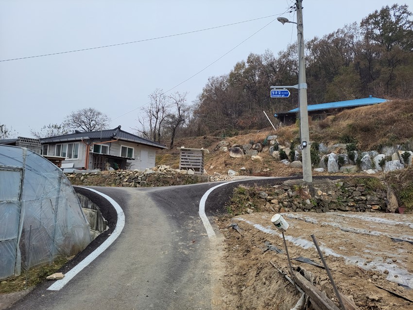 1.자동차가 주행이 가능한가요 인도포장만 한 것인가요